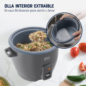 Arrocera de 10 Tazas DiamondForce Oster Gris CKSTRCB10DFSKE-053