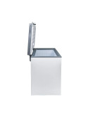 Congeladora Coldex 251LT CH10PLUS blanco